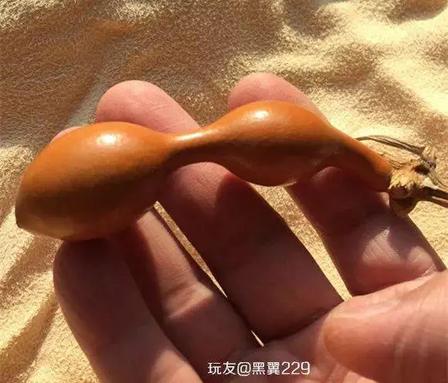 葫芦文玩珍品：细腰流线的蚂蚁肚葫芦科普
