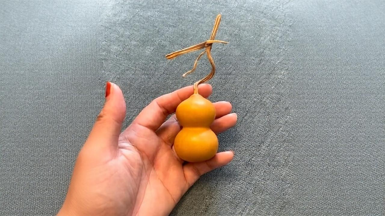 圆润福墩 ：和尚头手捻葫芦科普