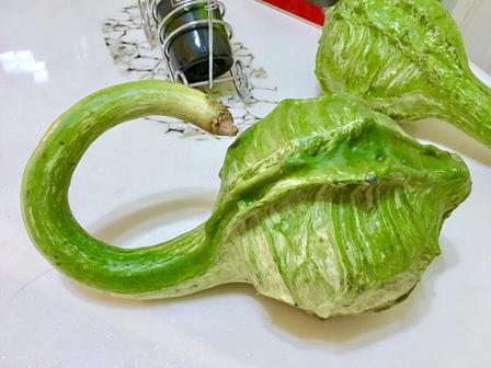 鹤首・天鹅葫芦：瓜藤里长出的仙禽